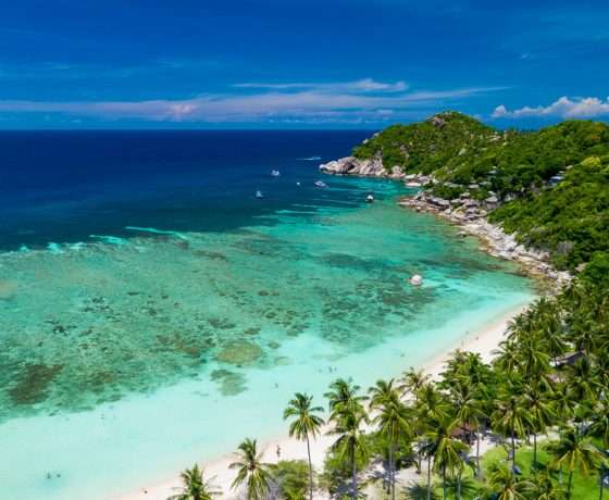 Beach and coconut trees at Shark Bay, Koh Tao